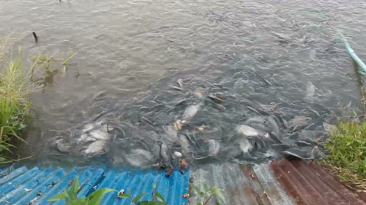 26 กันยายน ค.ศ. 2023