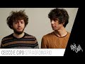 Cecco e cipo  straordinario album completo