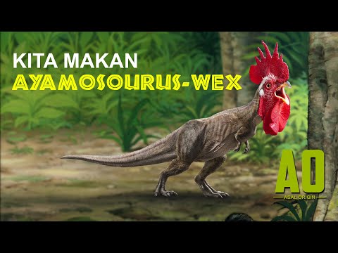 Video: Dinosaur Boleh Dibiakkan Dari Ayam - Pandangan Alternatif