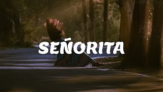 Shawn Mendes, Camila Cabello - Señorita (Lyrics)