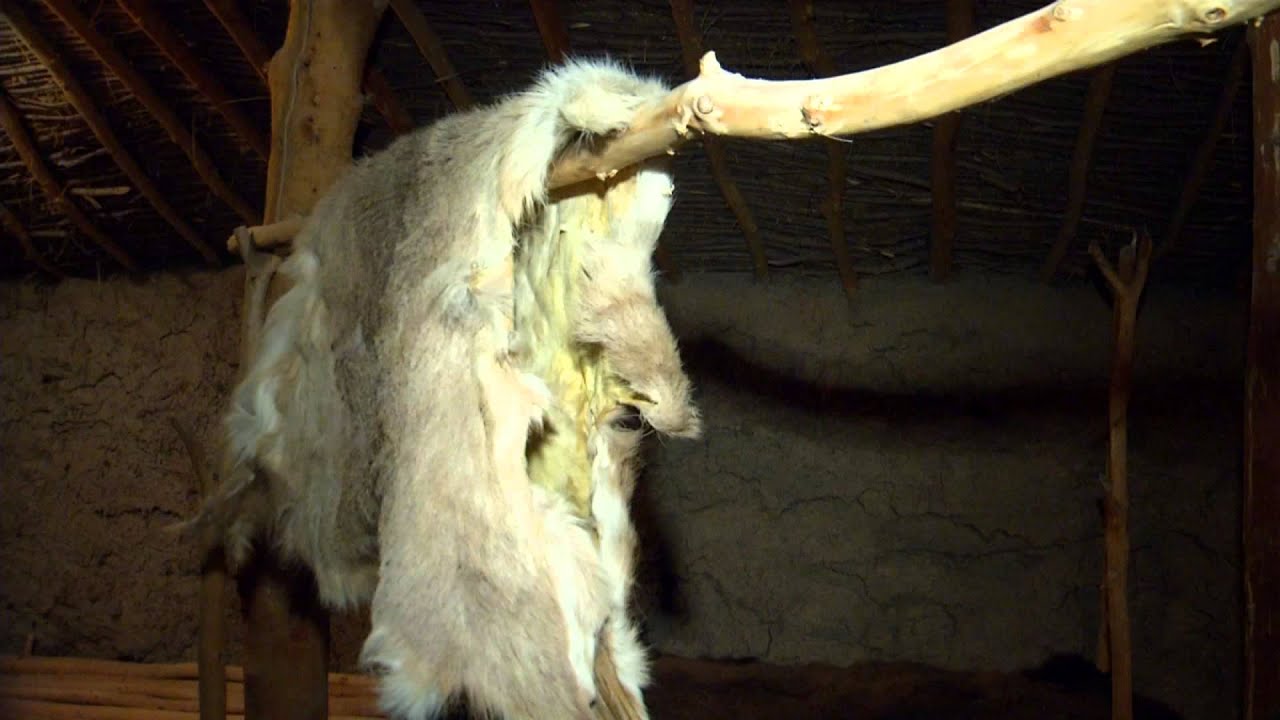 A MAN AND HIS BONES LTD-Mitchell Prehistoric Indian Village