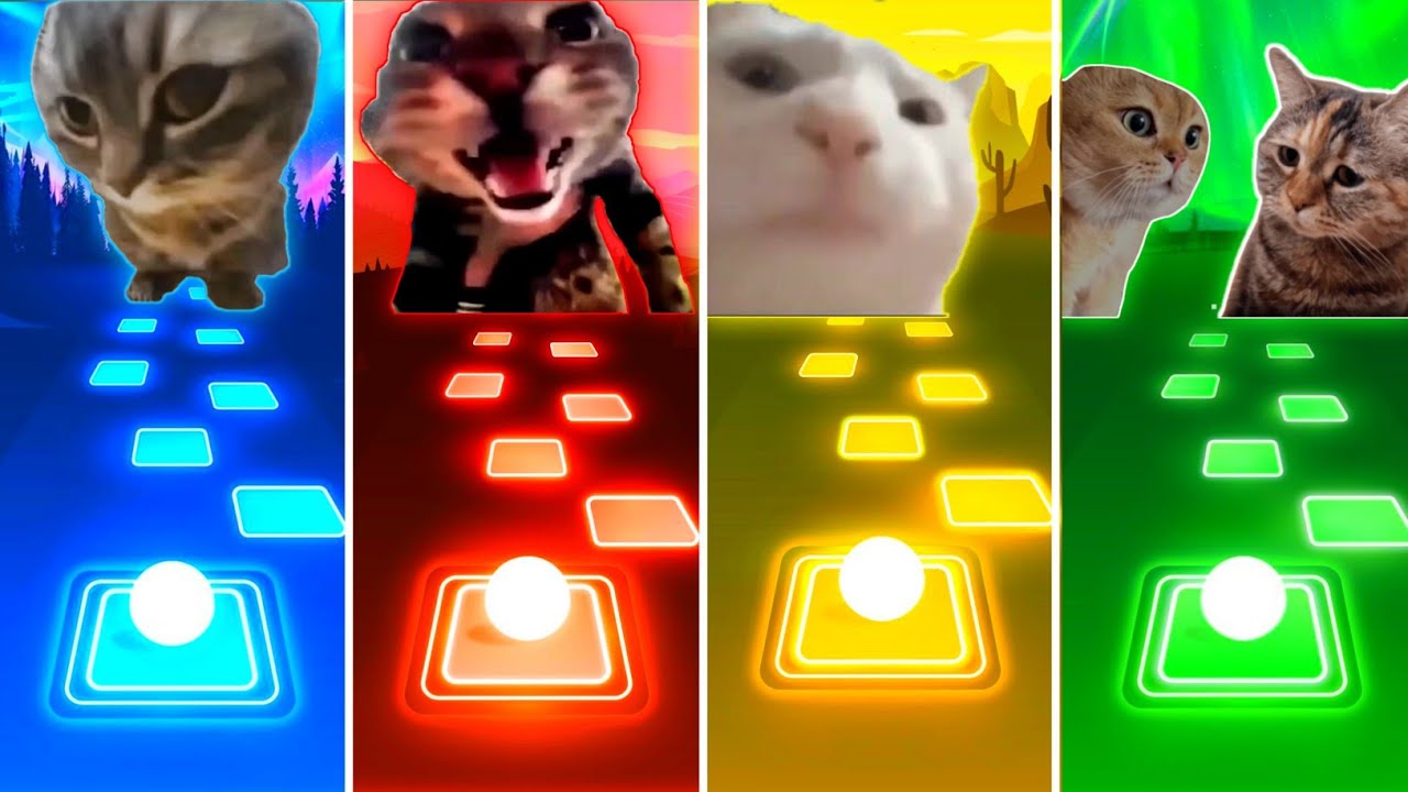 Chipi Chipi Chapa Chapa Cat vs Doorbell Meow Cat vs Vibing Cat vs