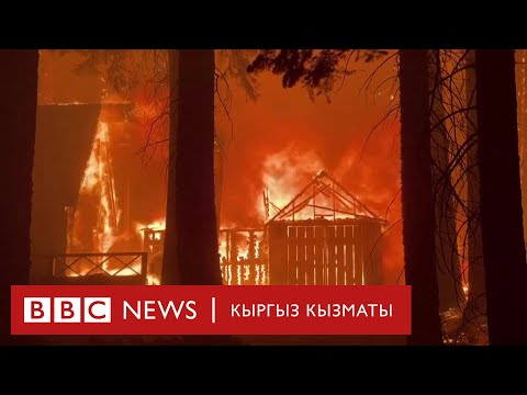 Video: Жарык диодду киргизсе болобу?