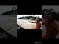 Big&amp;Fast Fishs #trending #fish #amazon #wildlife #fast