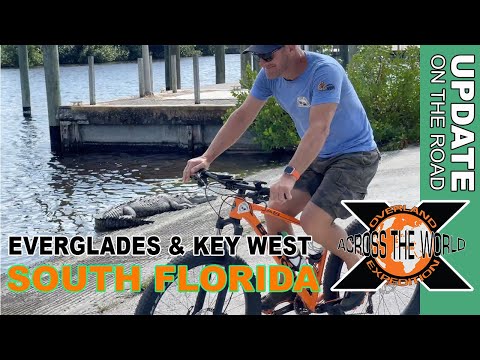 Alligators, Crocodiles & More | Everglades & Key West Florida