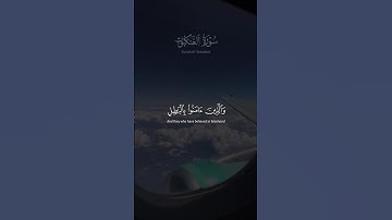 القارئ 🎙️ عبد الرحمن مسعد سورة العنكبوت 🤍