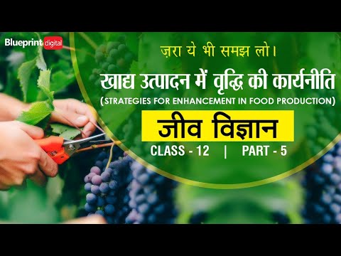 Strategies for Enhancement in Food Production Part 5 in Hindi Medium | Jeev Vigyan Class 12 Ch 9 |