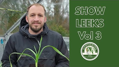 SHOW LEEKS VOL 3.......