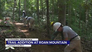 Roan Mountain State Park builds campsites, aims to reduce traffic stress on ecosystem
