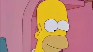 Momentos graciosos de Homero 2