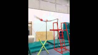 Age Group Programme - Men's Artistic Technical Ability Testing – Horizontal Bar - Exercise 1.4