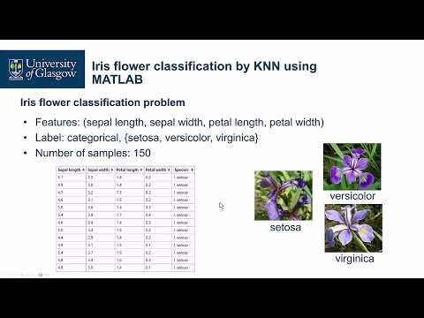 MATLAB Implementation: Simple Linear Regression and KNN