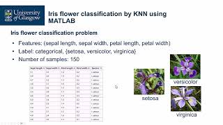 MATLAB Implementation: Simple Linear Regression and KNN