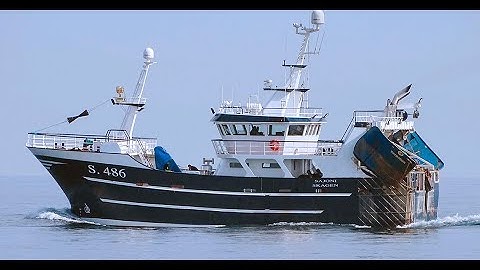 MTR. Sajoni - Onboard shrimp processing line