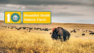 10 Beautiful South Dakota Facts