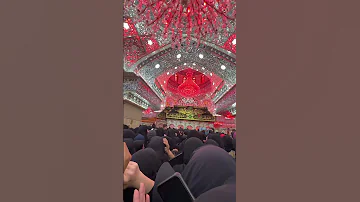 السلام عليك يا أبا عبدالله ع Shorts Karbala Ziyarat Arbaeen Najaftokarbala Arbaeenwalk 