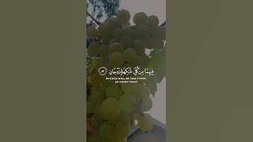 فيهما عينان تجريان | سورة الرحمن |القارئ الشيخ ياسر الدوسري 😍