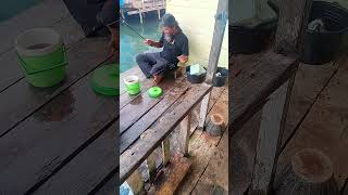 Mancing Ikan Segar Di Belakang Rumah