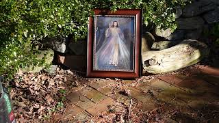 A soul from hell?#divinemercy #stfaustina #hell #purgatory #speakingwiththedead