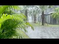 Rainy Day in the Forest 🌲 | Natural Rainfall on Leaves Vlog