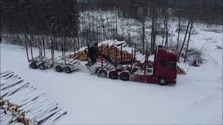 PLYWOOD #timberwolves #timber #scania