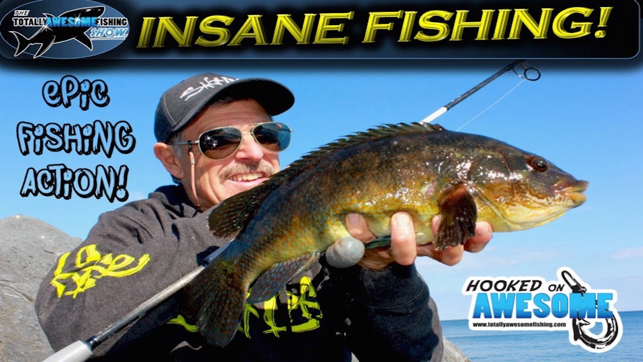 Insane Fishing!! Rod bending action TAFishing YouTube
