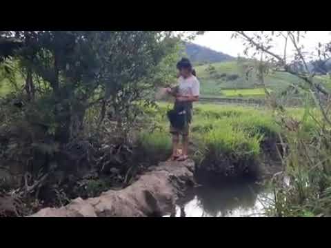 Gadis Cantik  Mandi Keramas Di Sungai Kecil Di Waktu Kemarau , Gadis Cantik Dari Gunung