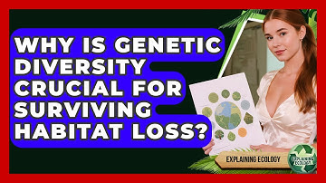 Why Is Genetic Diversity Crucial For Surviving Habitat Loss? - Explaining Ecology