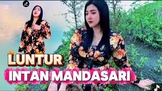 Download Lagu LUNTUR ⁉️LAGU JAWA TERBARU_INTAN MANDASARI _ SUARA KHASNYA BIKIN CANDU@malikamaniztv  MP3 Download Lagu LUNTUR ⁉️LAGU JAWA TERBARU_INTAN MANDASARI _ SUARA KHASNYA BIKIN CANDU@malikamaniztv  MP3