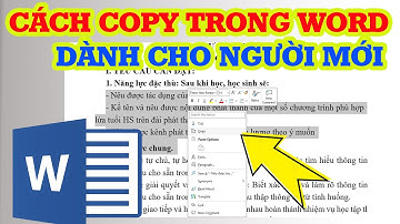 Cách copy trong Word cho người mới bắt đầu dễ hiểu