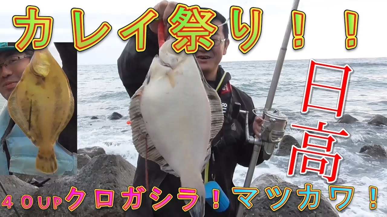 Matsukawa Fishing] Matsukawa flounder and 40cm+ black rockfish