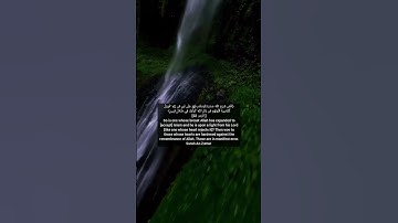 قرآن كريم سورة الزمر #قرآن #صوت_جميل #hollyquran#quran #تلاوة_خاشعة #سورة_الزمر #surah