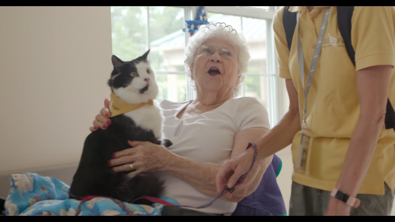 Hand in Paw Nursing Home Visits ft. Phantom the Therapy Cat YouTube