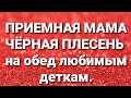 Дневник приёмной мамы/Обзор.