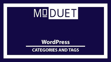 How to Use Categories and Tags in WordPress