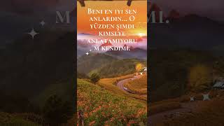 Sen Gidince Ben De Sustum