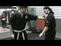 Shinjitsu Dojo SEION Henka Shinjitsu Dojo SEION Henka