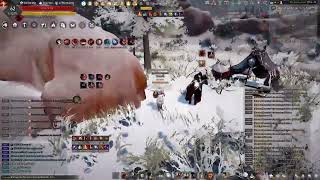 Perma Red -10 M Succession Warrior Killing Players In Yzrahid Black Desert Online 2024