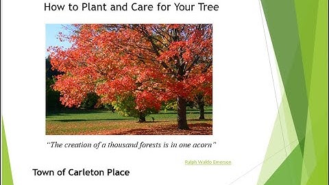 Bare Root Tree Planting and Care Seminar - 2022