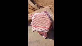 Let's bake incredibly delicious soft homemade buns😋#express love through cooking &baking screenshot 5