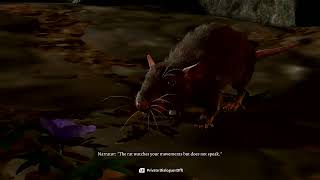 Baldurs Gate 3 angry rats