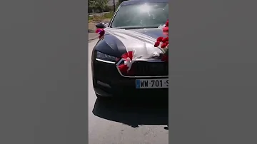 وليدات عامر 
