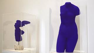 MAMAC - Yves Klein, le maître du bleu