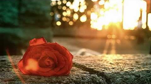 سوره الهمزه - بصوت أحمد العجمي