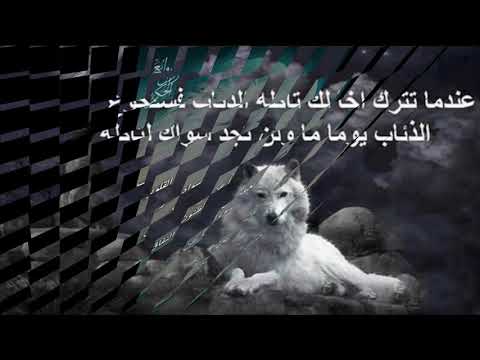 مقولات عن الذئاب