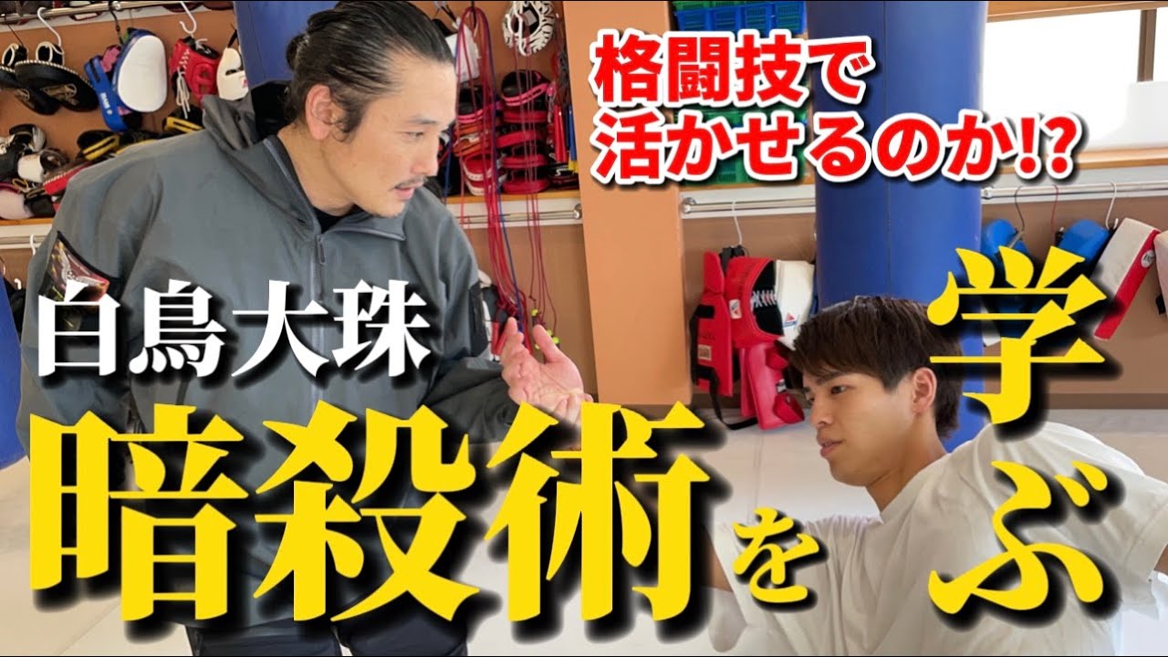 本物の暗殺者からウェイブパンチ受けてみたら危険すぎた【坂口拓】