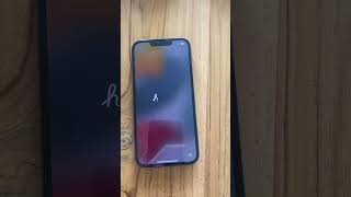 iphone 13 pro display issues