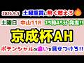 【土曜重賞に熱く燃えろ🔥】  ポテンシャルの違いを見せつけろ!!😤 【2026.9.5 中山11R 京成杯AH 】