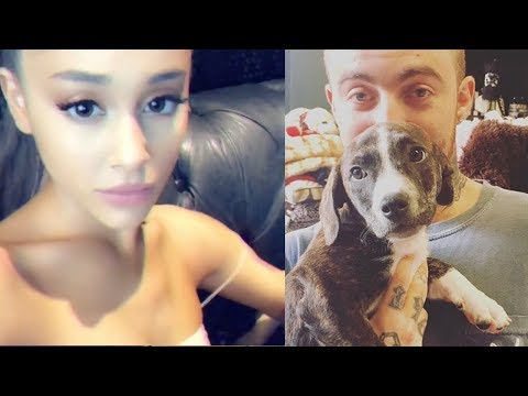 วีดีโอ: Pet Scoop: Ariana Grande Adopts Pup ก่อนแสดงทำไมช้างมีมะเร็งน้อยลง
