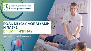 Боль между лопатками и плече. В чем причина? Прием кинезиолога